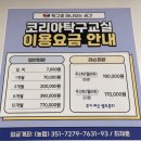 코리아주유소 | 춘천 탁구장 엘리트선수출신 코리아탁구교실 총정리 솔직리뷰