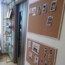 에덴뷰티 이미지