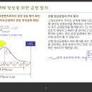 선행 양산공정에서의 PPK 평가 배경_Update 이미지