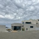 해맞이로 | 울산 신상 카페 도우트리 신상 카라반 카라카리조트 쇼룸 방문 후기