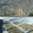 이화정민박 이미지