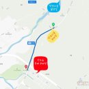 반곡길손식당 | 전남 구례 산수유마을 반곡마을 여행 산수유축제는 취소