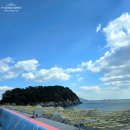 등대 | 아이와 여수 오동도 걸어서 산책한 등대 볼거리 주차 후기