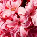 함덕, 수형 | 1503 Jeju 제주 3박4일