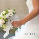 에스진 이미지