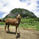 가족여행민박 이미지
