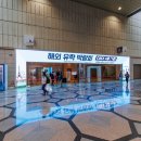 씨이에스 | 해외유학박람회를 성공적으로 마무리했어요 아일랜드 통합부스에 방문하신 모든 분들께 감사드립니다.