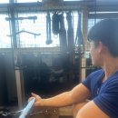 한국타이어 동대구대리점 | 광양까지 원정 정비했심더! BMW X1 얼라이먼트 싹 잡고 타이어 리셋 완료 (타이어뱅크 동광양점)