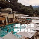어반아일랜드 서울신라호텔 비지니스 디럭스 트윈 주차 수영장 숙박 후기