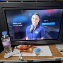 (주)펫에어라인 | 미국여행: 텍사스 (2022.12.05~ 2023.02.05.)/1탄