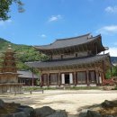 이민경 행정사 사무소 이미지