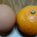 인벤스사우나 이미지