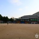 운동장 Daum카페
