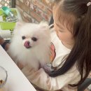 미호유치원 이미지