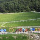 월드컵목장 이미지