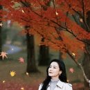 질서가 우선ㆍㆍ건전한 인격 이미지