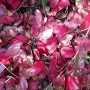 골몰농장 이미지