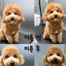 고은동물병원 이미지