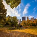 대구선아양공원2 이미지