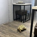 마라식당 | <6/25 가오슝2> 혼밥하기 좋은 마라식당/망고빙수/리우허야시장