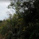 표선리-14 이미지