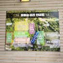 울미숲카페 | [포천 애견카페 추천] 울미숲 [카페, 애견운동장] 내돈내산 솔직 후기