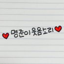 113 이미지