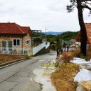 강원토지공인중개사사무소 이미지