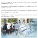 &#39;나혼자 산다&#39; 36% 돌파해 역대 최고…노인 인구는 1천만 시대 이미지