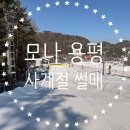 사계절썰매장 | 모나 용평리조트 사계절 썰매장 내돈내산 솔직후기