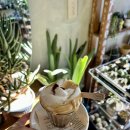 선이커피 이미지