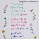 마인드셋 이미지