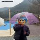 도넛캠프 - 북구 삼정소로길 50 | 밀양에서 일본 감성 글램핑? 해브솔캠프 자쿠지 후기