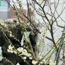 제주안안민박 이미지