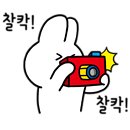 지비사이클 이미지