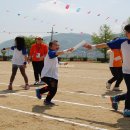 탄부초등학교 이미지