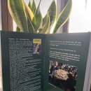 과천시민회관 갤러리마루 | [백남준포럼](2023~2025) 연말선물, 368쪽 대표:이상미, 편집:김형순