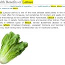 lettuce - lettuce dryer 이미지