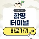 함평5일시장 | 함평터미널 시간표 버스 예매 총정리(2026)