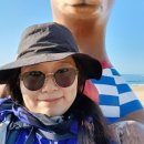 [해파랑길/3일차] 동반자를 잃다 46코스 / 속초시내 가볼만한곳 총집합!45코스 완주 후기