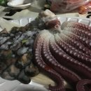 축산교 이미지