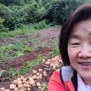 봉두농장 이미지