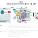 한국클린텍