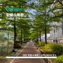 [Hanbat Arboretum] 한밭수목원 - &lt;대전&gt; 날씨 좋은 날 산책하기 좋은 곳 / 예술의전당 &amp; 시립미술관...