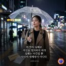 라피크. 세브란스. 페스탈로치. YES철학. 누이 이미지