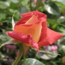 몸사랑농장 이미지