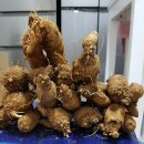 팔괴로1 Daum카페