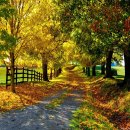 오늘도소풍 이미지