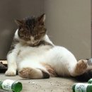 원터로 106번길 네이버블로그