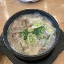 네오지브이